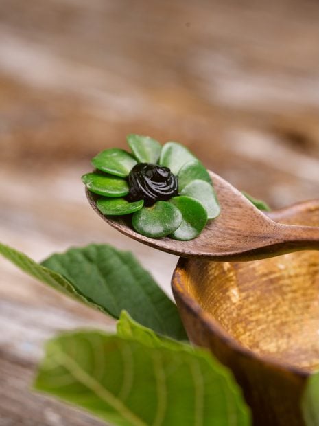 estrellas verdes michelin