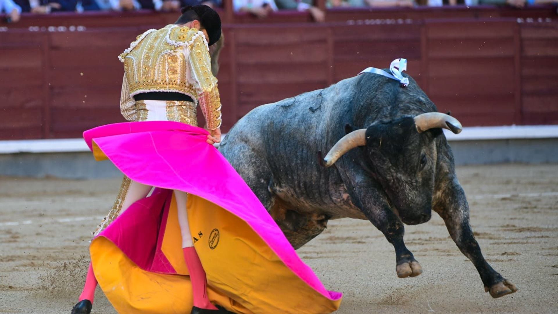 El deslucido juego de los toros de Saltillo apaga las faenas de Venegas, Leal y De Castilla