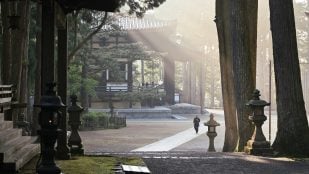 Proverbio japonés, mejores consejos japoneses, frases japonesas, proverbio de Japón, proverbios asiáticos, filosofía japonesa.