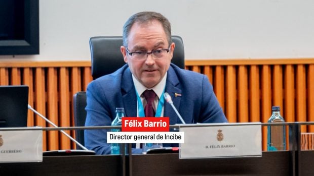 El director general del Instituto Nacional de Ciberseguridad (Incibe), Félix Barrio (Foto: Ep).