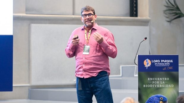 Renaud de Stephanis