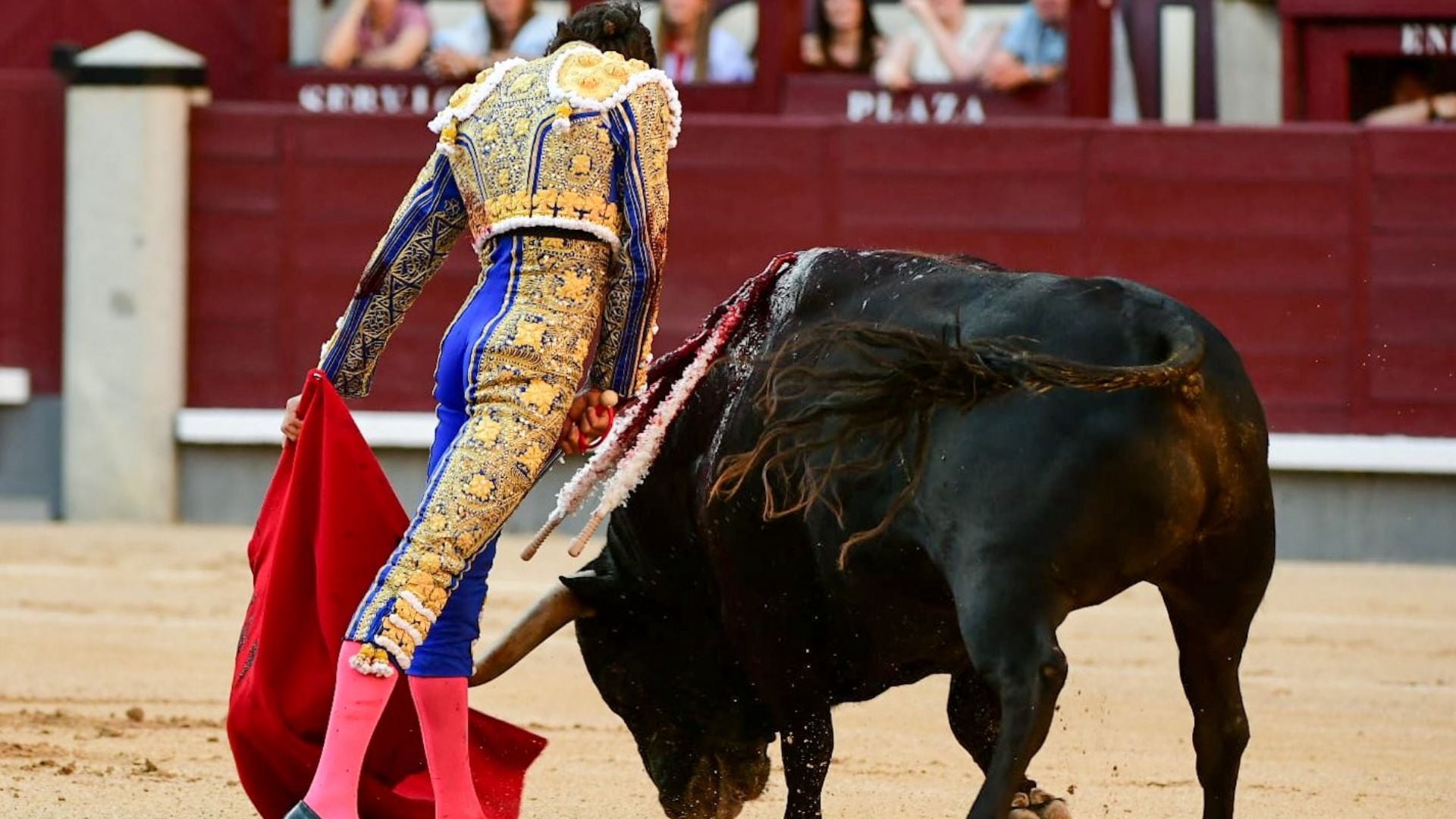 Castella firma una de sus faenas más rotundas en Madrid pero la espada le roba la Puerta Grande