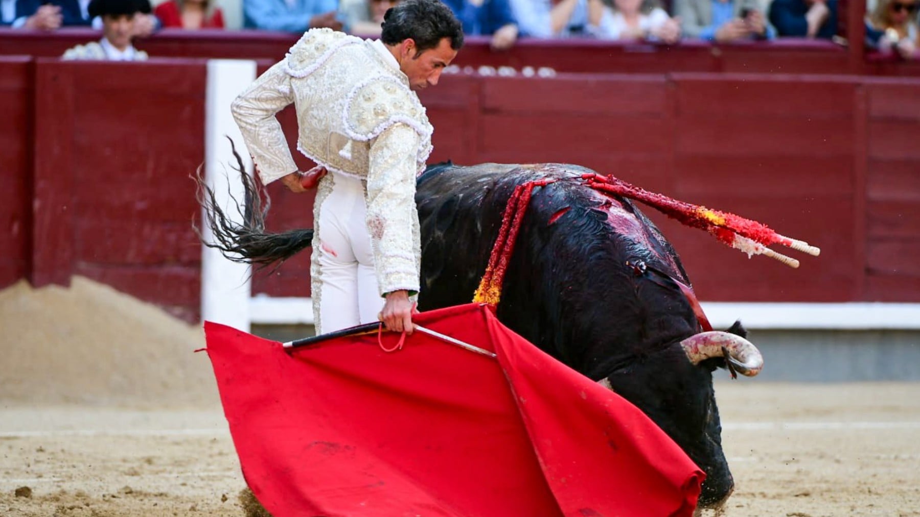 David de Miranda firma una gran faena y pasea una oreja