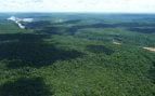 Selva atlántica, Brasil, naturaleza