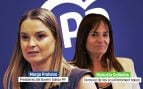 pp vox ómnibus