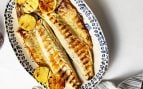 pescados OCU