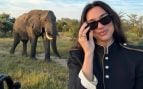 Safari, Dua Lipa, Singita Ebony Lodge, Sudáfrica