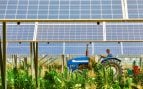 agrovoltaica