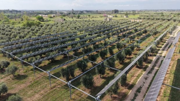 agrovoltaica