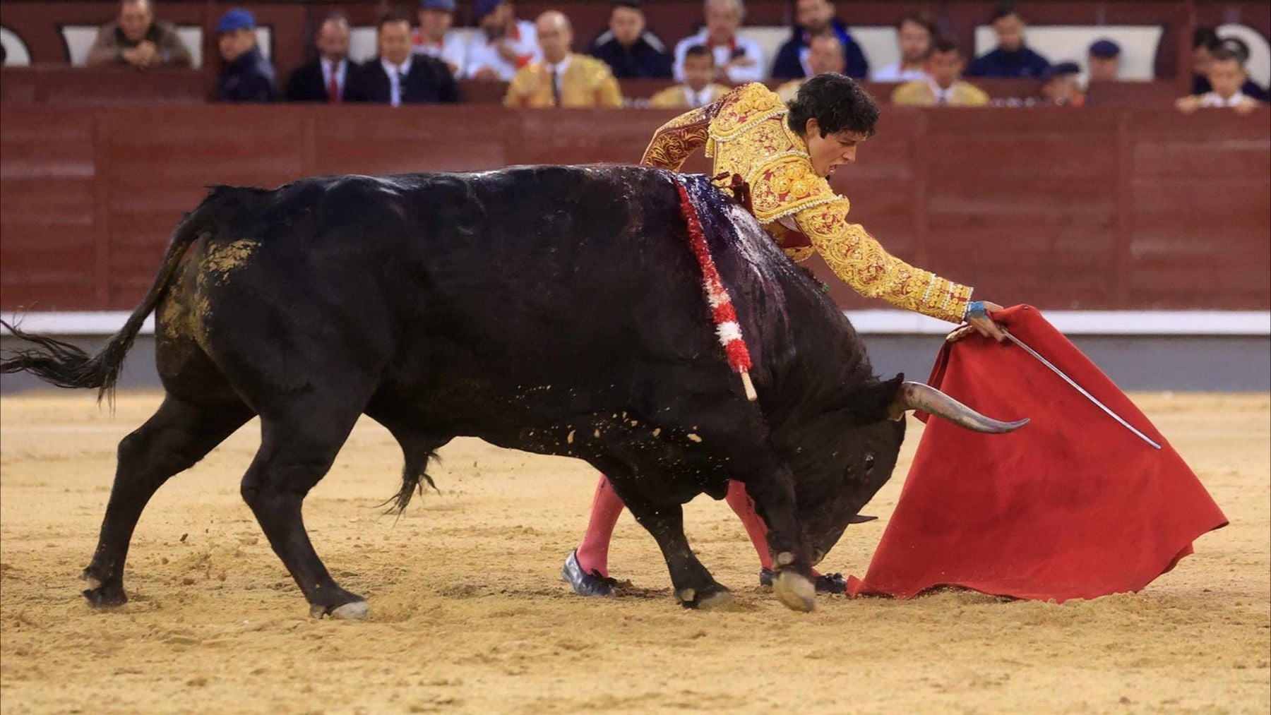 Horario y dónde ver la corrida de toros de Isaac Fonseca, Molina y Jarocho en Las Ventas por San Isidro hoy