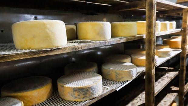Queso. (Foto: Europa Press)