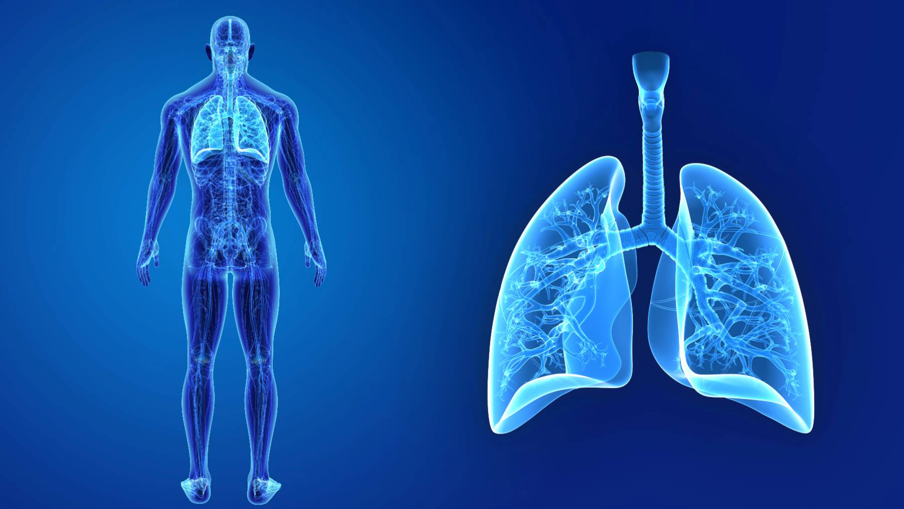 El cigarrillo envejece los pulmones 16 años la edad biológica: la ciencia vuelve a señalar a la combustión