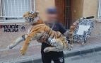 tigre, peluche, susto, pánico, Murcia, Molina de Segura, Policía Local