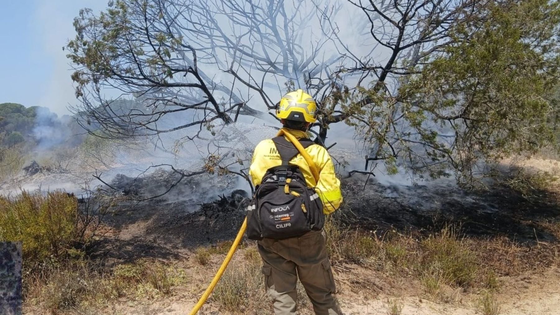 Un incendio en Doñana quema más de 400 hectáreas de un paraje especialmente protegido