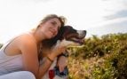 Perro, animal, mascota