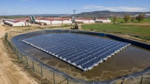 Paneles solares para cubrir balsas de purines, granjas porcinas y paneles solares, inventan paneles solares para cubrir balsas de purín.