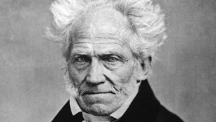 Arthur Schopenhauer sobre la vida, reflexión del filósofo alemán Arthur Schopenhauer, Arthur Schopenhauer sobre la vida, Arthur Schopenhauer filósofo.
