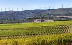 vino cambio climático