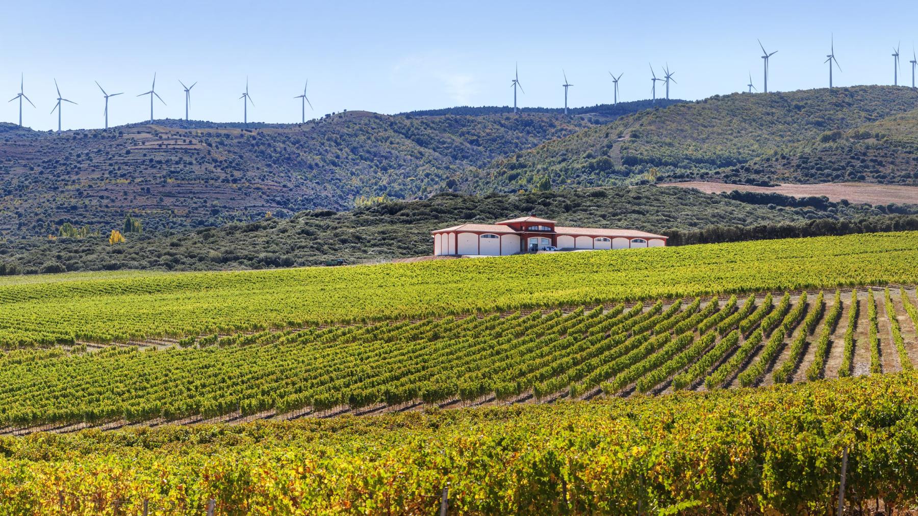 Finca Carbonera, del Grupo Barón de Ley, en la subzona de Rioja Oriental