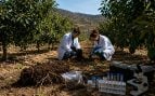 UMA descubre cómo luchar contra sequía en agricultura, agricultura ecológica y sequía, cómo resistir a la sequía sin fertilizantes, agricultura sostenible sin químicos.
