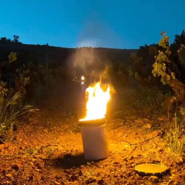 No todo el fuego es destructivo: Esta bodega utiliza velas para proteger sus vi&ntilde;edos de las heladas