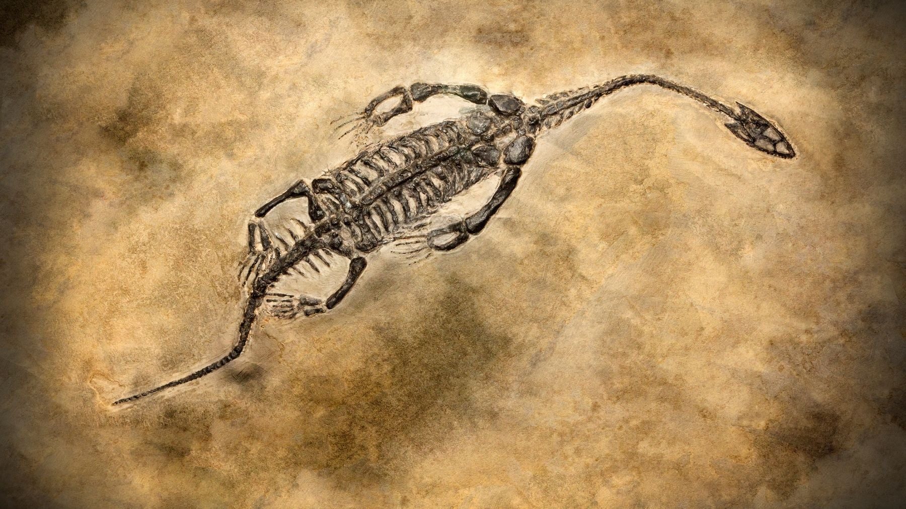 El insecto prehistórico que ha paralizado a la comunidad científica: 100 millones de años y garras gigantes