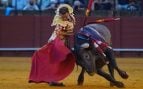 corrida toros antonio ferrera