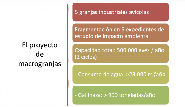Macrogranjas maranchón