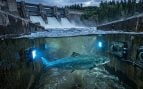 Salmones