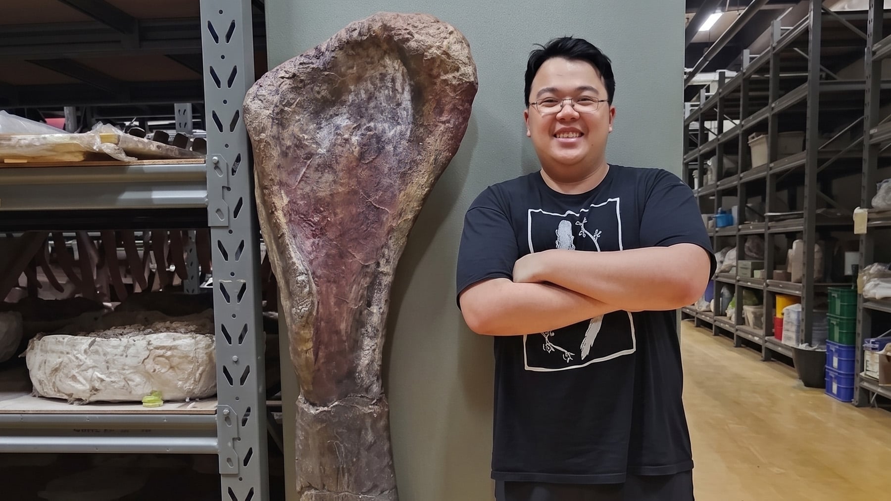 Hueso de Nagatitan chaiyaphumensis. Foto:Museo Thainosaur de Asiatique.