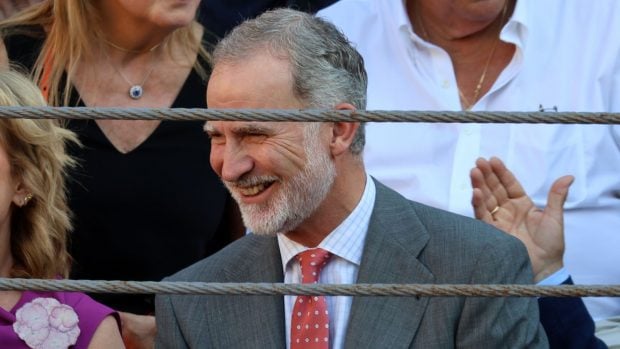 El Rey Felipe VI. (Foto: Europa Press)