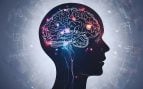 Cerebro