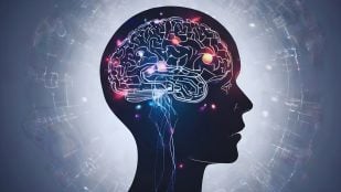 Cerebro