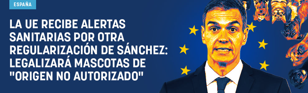 La UE recibe alertas sanitarias por otra regularización de Sánchez: legalizará mascotas de origen no autorizado