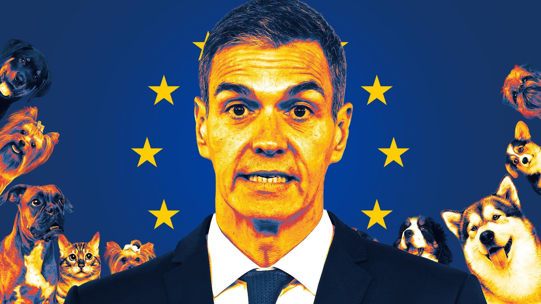 Pedro Sánchez, presidente del Gobierno.