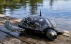 Robot-tortuga con inteligencia artificial, canadiense de 15 años desarrolla un robot con IA, robot tortuga para proteger los ríos.