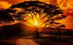 Un proverbio africano