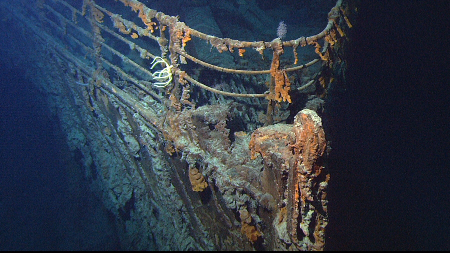 ¿Dónde quedaron los esqueletos de los pasajeros del Titanic? La razón por la que no se han encontrado ninguno