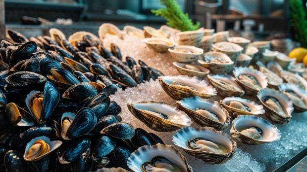 mejillones y ostras