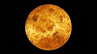 Venus