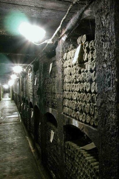 bodega stalin vinos