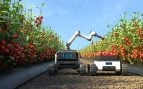 robots-tomates