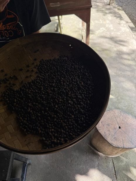 Caf&eacute; Luwak, caf&eacute;, caf&eacute; m&aacute;s caro