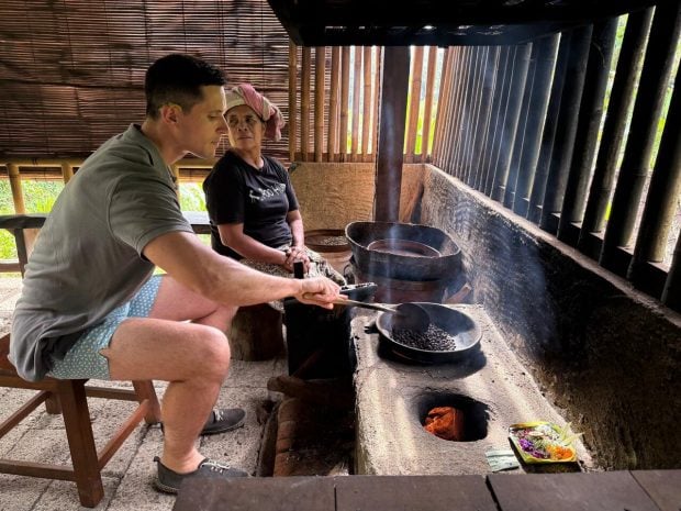Indonesia, Bali, Caf&eacute; Luwak, caf&eacute;, caf&eacute; m&aacute;s caro