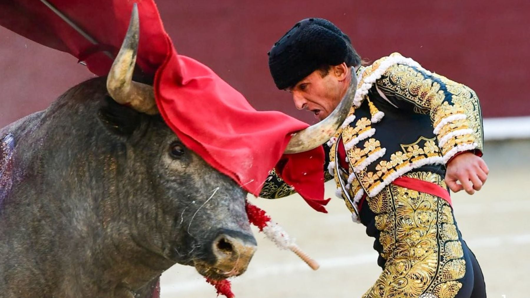 Pinceladas de Damián Castaño y Gómez del Pilar en una exigente corrida de José Escolar