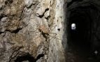 Ejemplar hembra de Dolichopoda balrogi en el túnel artificial de la isla de Kastellorizo, Grecia (Imagen creada con IA).