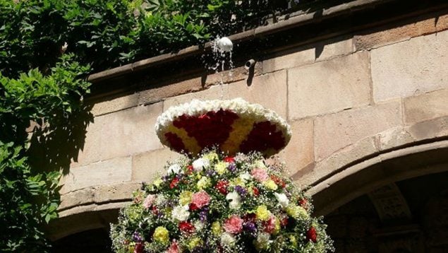 Corpus Christi huevo