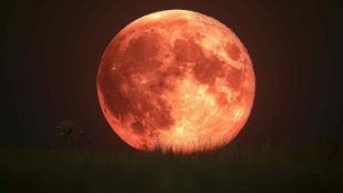 Luna llena