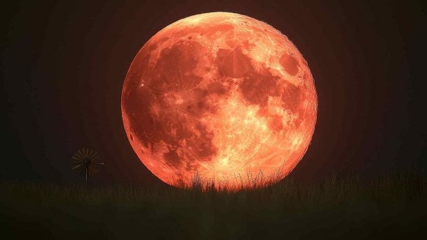 Luna llena