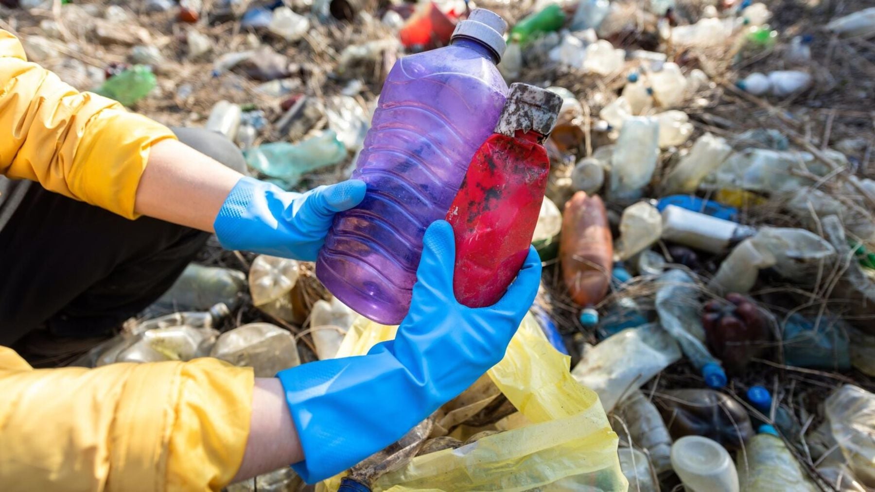 Un proyecto pionero en Cataluña investiga el reciclado enzimático de las basuras acumuladas en los ecosistemas marinos más degradados